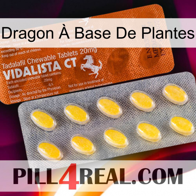 Dragon À Base De Plantes 42